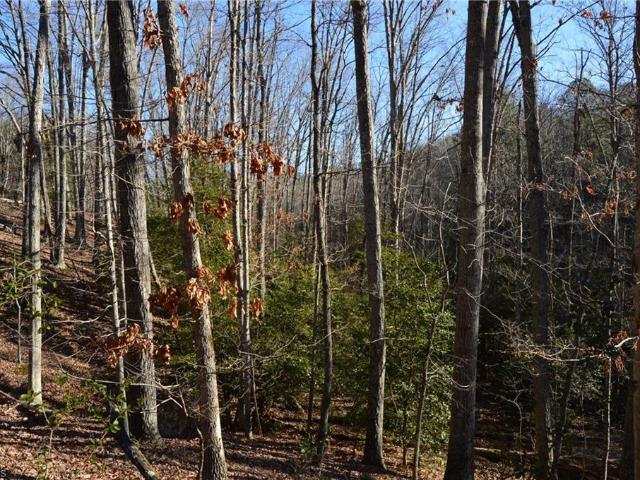 Land for sale in Stokes, North Carolina