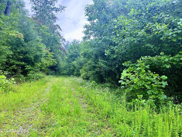 Farm for sale in Tennessee