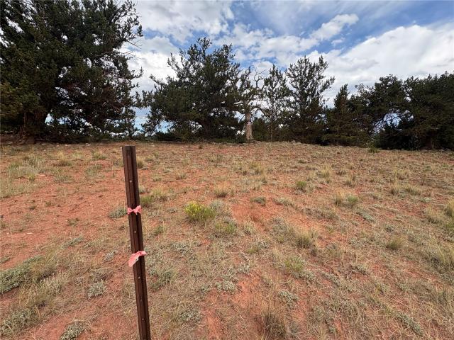 Land for sale in Fairplay, Colorado