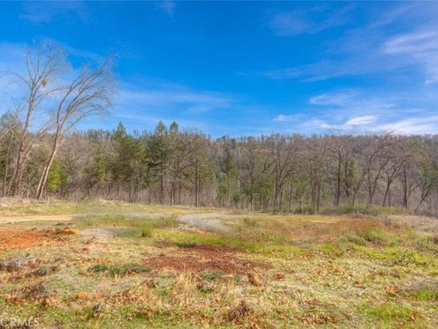Land for sale in Butte, California