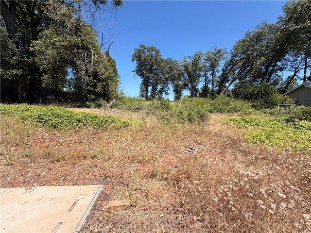 Land for sale in Butte, California