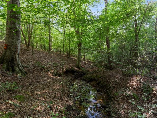Land for sale in Comer, Georgia