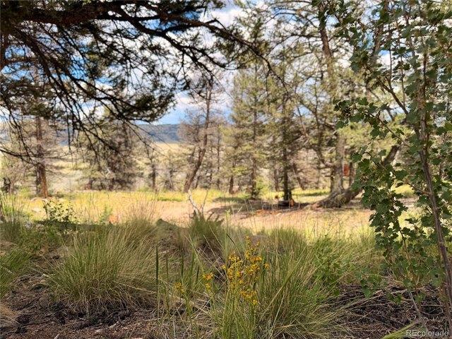 Land for sale in Fairplay, Colorado