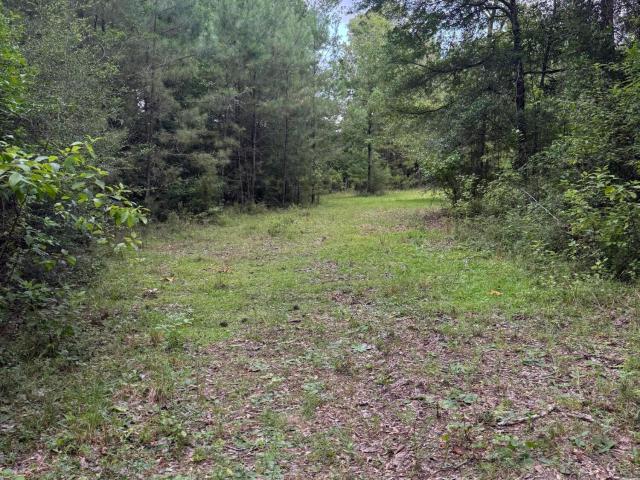 Land for sale in Carriere, Mississippi