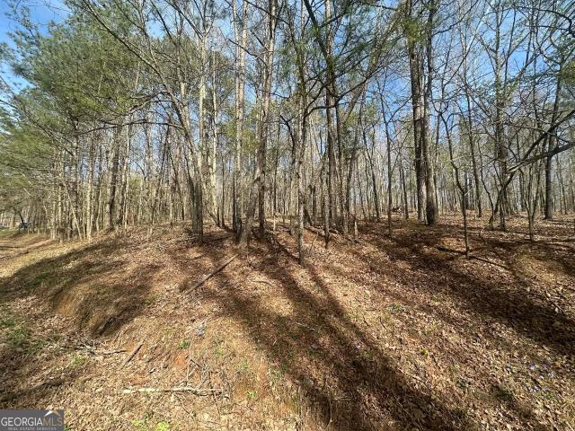 Land for sale in Georgia
