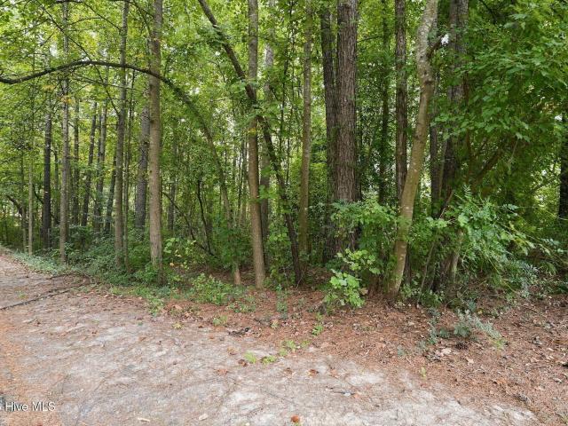 Land for sale in Southern Pines, Moore County