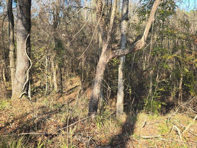 House for sale in Hazlehurst, Copiah County