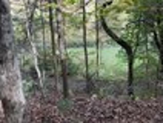Land for sale in Tuckasegee, North Carolina