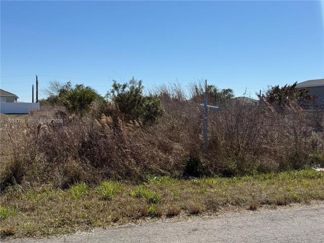 Land for sale in Labelle, Florida