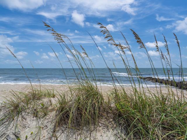 House for sale in South Carolina