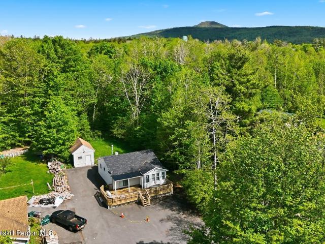 House for sale in Village of Tannersville, Town of Hunter