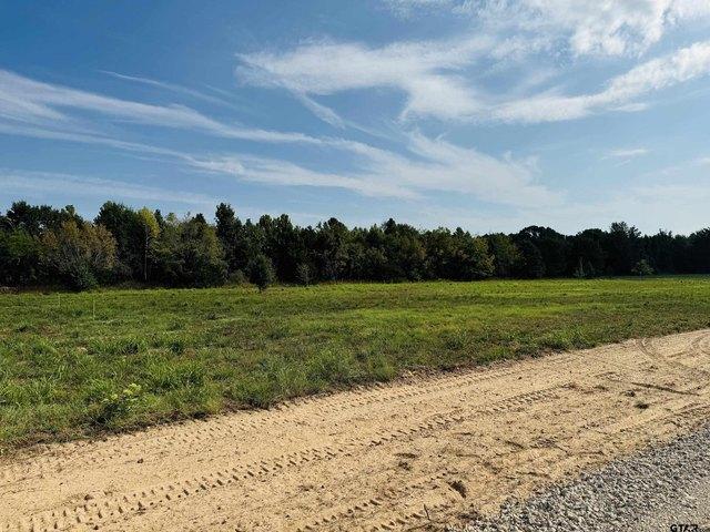 Land for sale in Wood, Texas