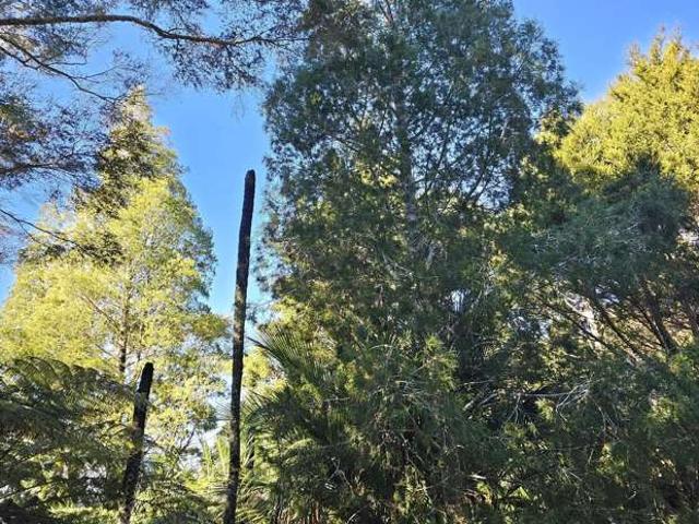 Property for sale in Ohaeawai, Northland
