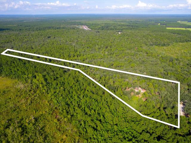 Land for sale in Palatka, Florida