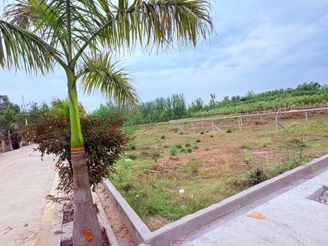 Land for sale in Kedarpur, Uttarakhand