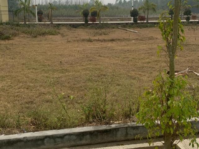 Land for sale in Kedarpur, Uttarakhand