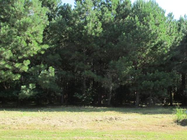 Land for sale in Wallace, Duplin County