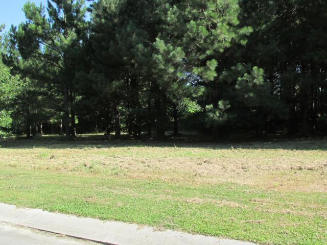Land for sale in Wallace, Duplin County