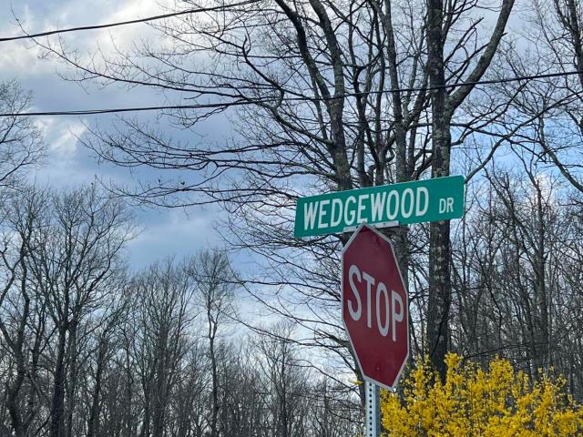 Land for sale in Blooming Grove Township, Pike County
