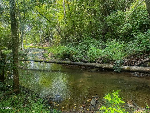 Land for sale in Tennessee