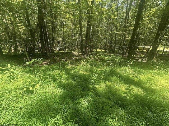 Land for sale in Terra Alta, West Virginia