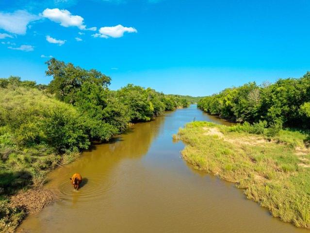 Land for sale in Texas