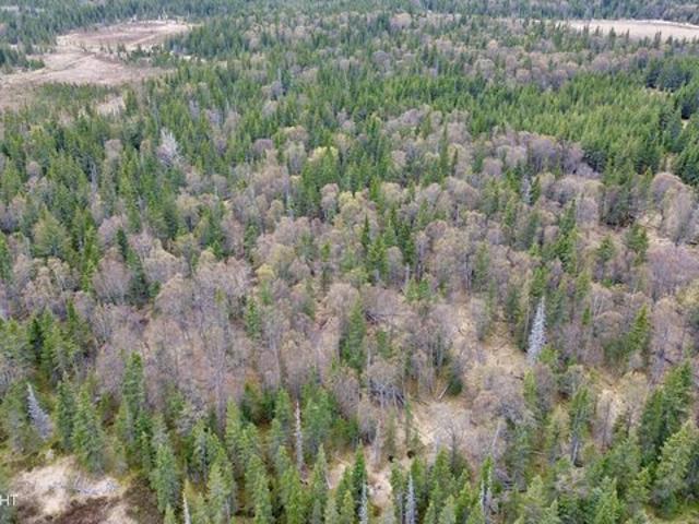 Land for sale in Ninilchik