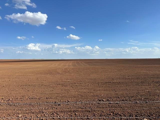 Land for sale in Lone Wolf, Oklahoma