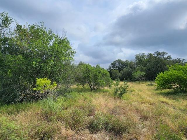 Land for sale in Leesville, Texas