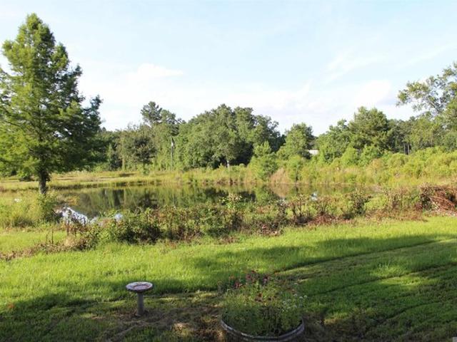 Land for sale in Walker, Louisiana
