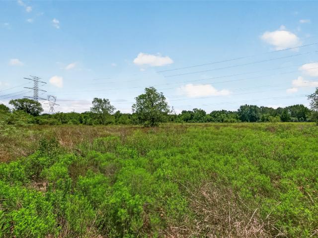 Land for sale in Guy, Texas
