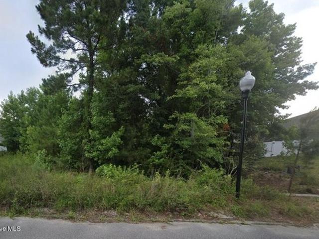 Land for sale in Bolivia, Brunswick County
