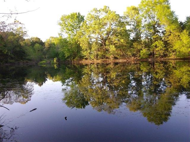Farm for sale in Lamar, Texas