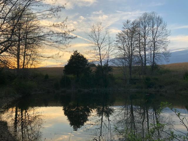 Land for sale in Junction City, Kentucky