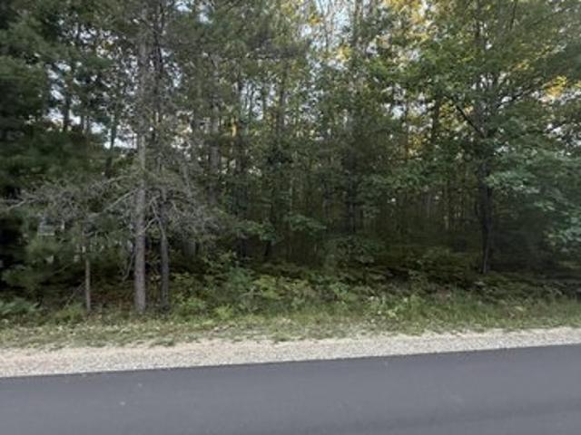 Land for sale in Saint Helen, Richfield Township
