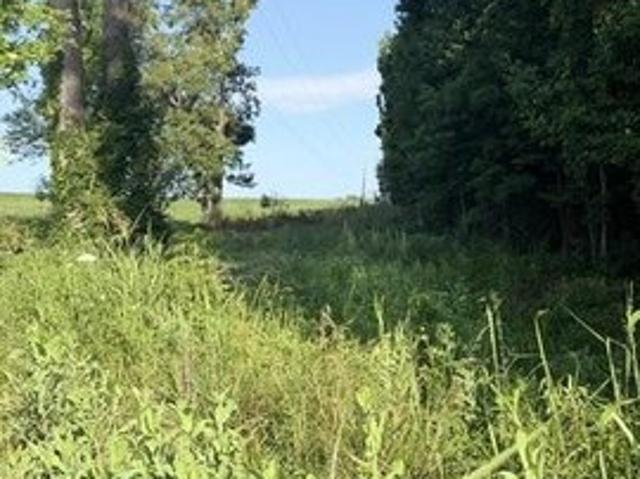 Land for sale in Science Hill, Kentucky