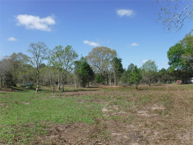 Land for sale in San Felipe, Texas