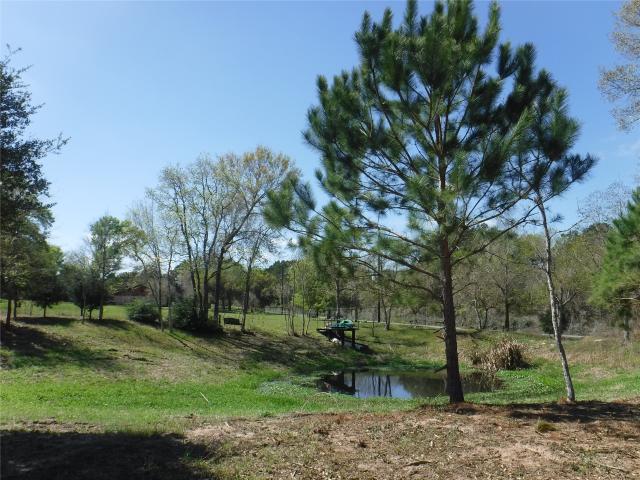 Land for sale in San Felipe, Texas
