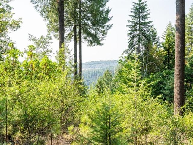 Land for sale in Nevada City, California