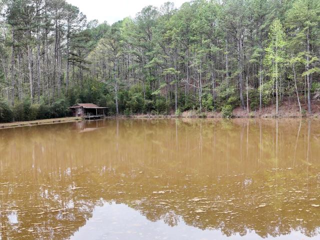 Commercial for sale in Lagrange, Georgia