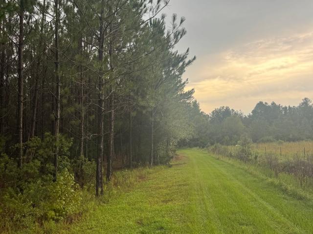 Land for sale in Glennville, Georgia