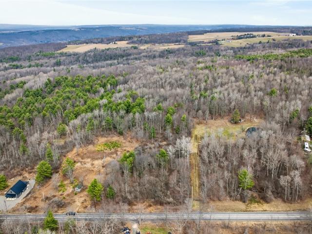 Land for sale in Tyrone, New York
