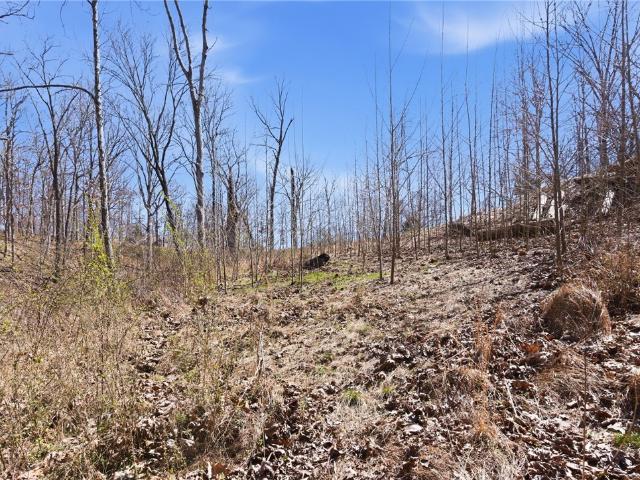 Land for sale in Ark