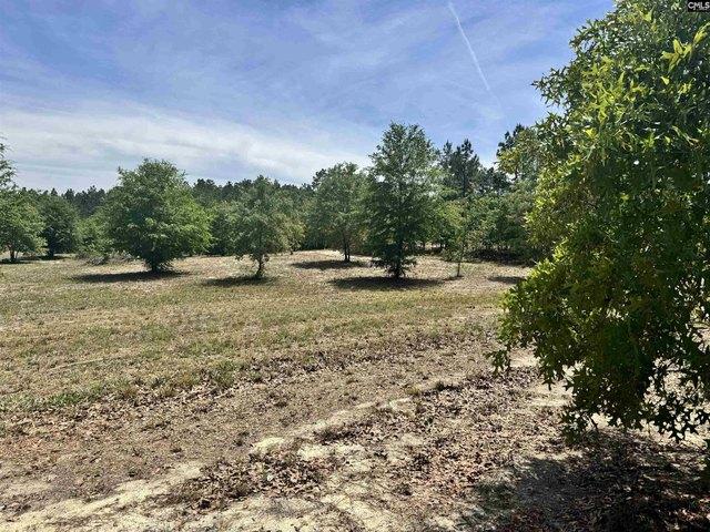 Land for sale in Cassatt, South Carolina
