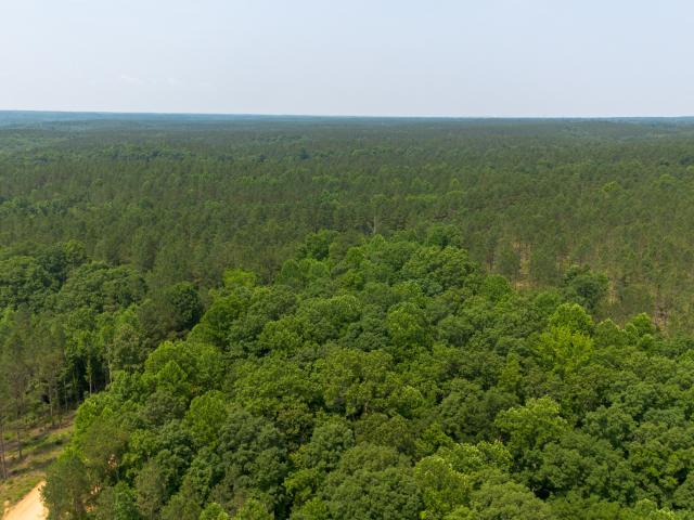 Land for sale in Tennessee