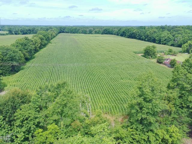 Land for sale in Canton, Madison County