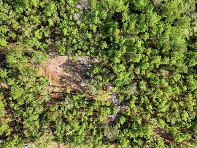 Land for sale in Bryceville, Florida