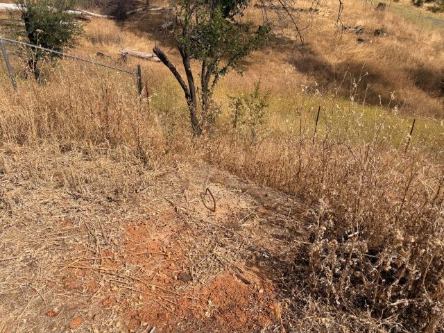 Land for sale in Shasta, California