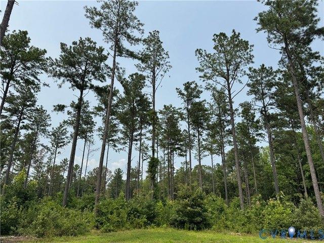 Land for sale in Virginia