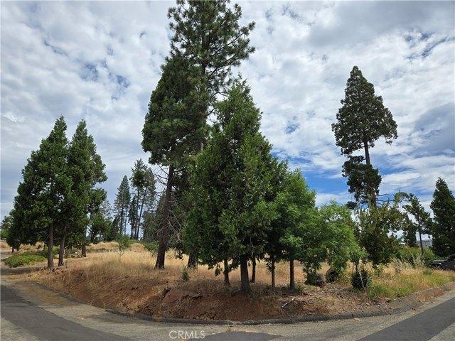 Land for sale in Butte, California
